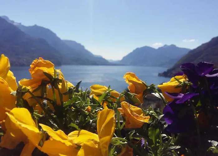 Lägenhetshotell Antico Pozzo 3*